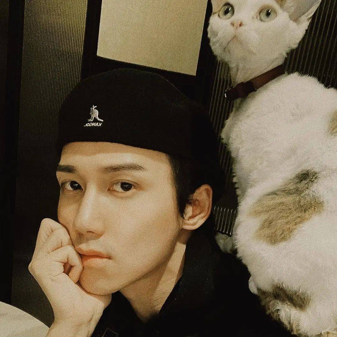 帅气男星王一哲素颜撸猫照片 男生养猫好有爱！_3