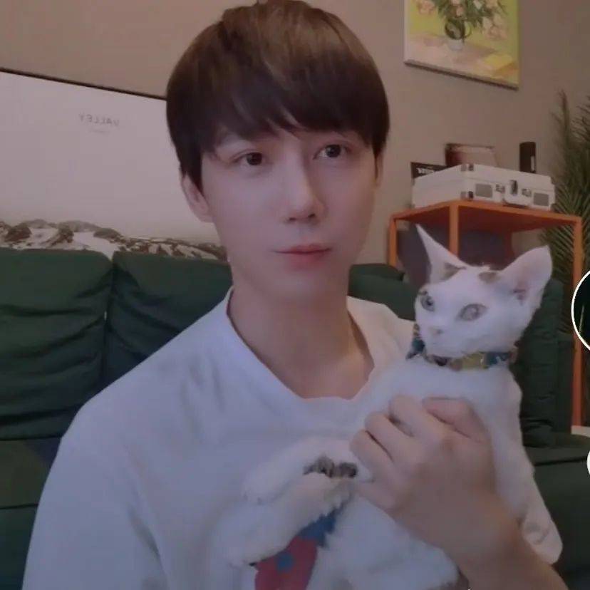 帅气男星王一哲素颜撸猫照片 男生养猫好有爱！_2