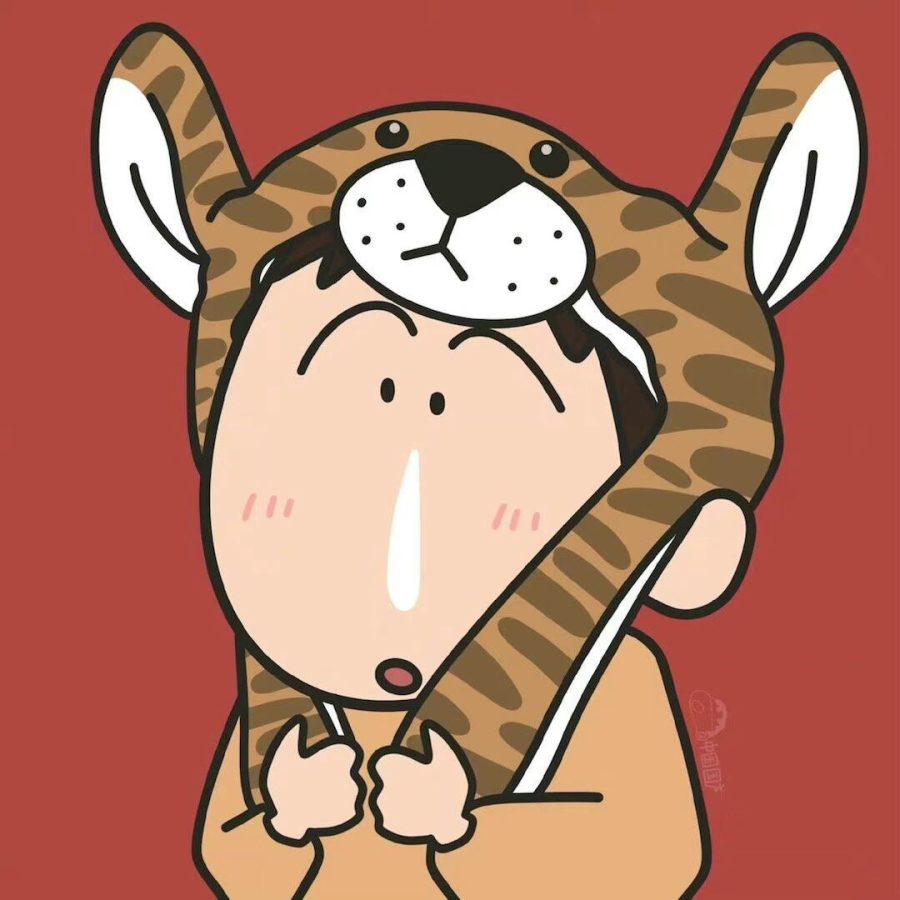 蜡笔小新全员换装虎头帽头像图片_2