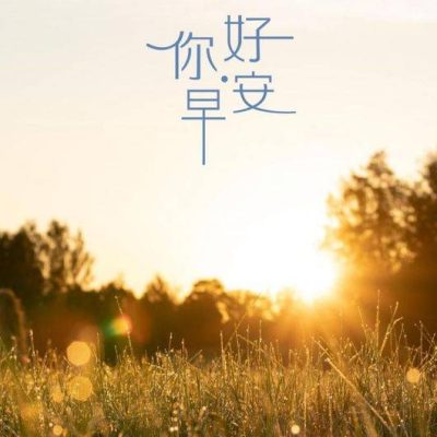 你好早安 阳光 黄金草 配图