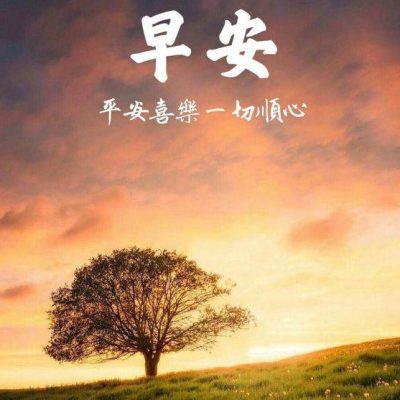 早上好 阳光树 平安喜乐 一切顺心 祝福朋友圈配图