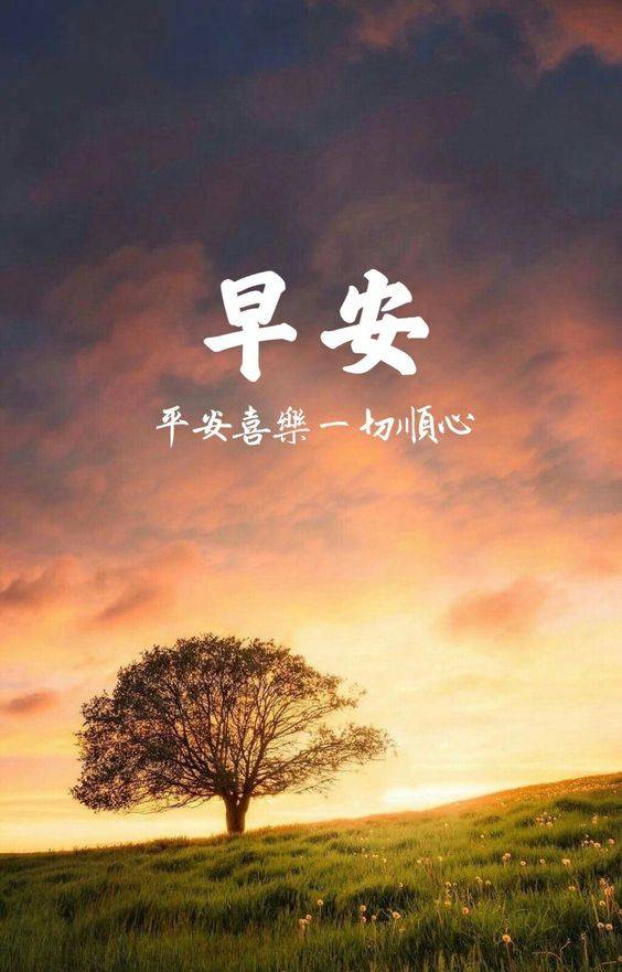 早上好 阳光树 平安喜乐 一切顺心 祝福朋友圈配图_1