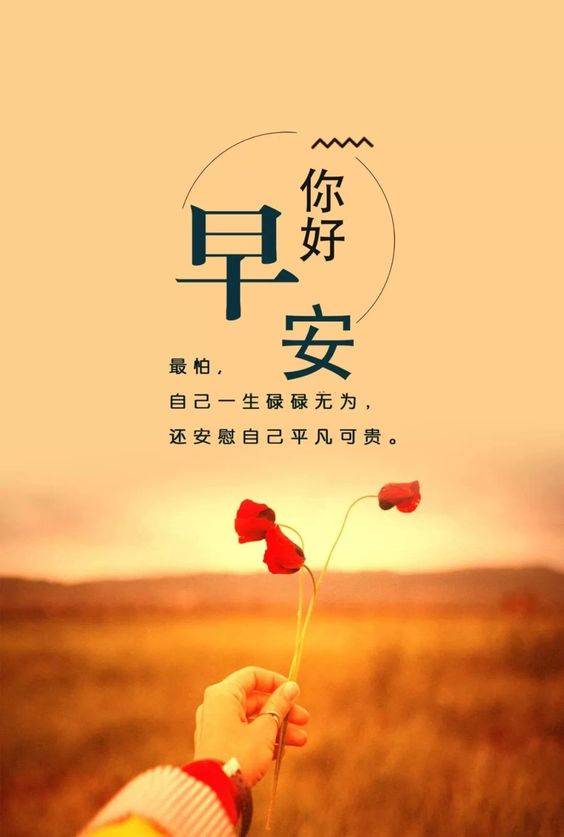 你好早安唯美配图，最怕自己一生碌碌无为，还安慰自己平凡可贵_1