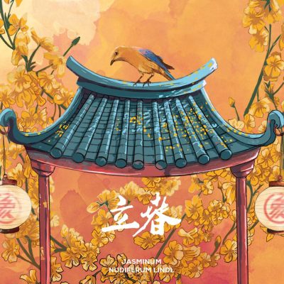传统中国风立春插画朋友圈配图   气象西所Jasminum Nudiflrum Lindl