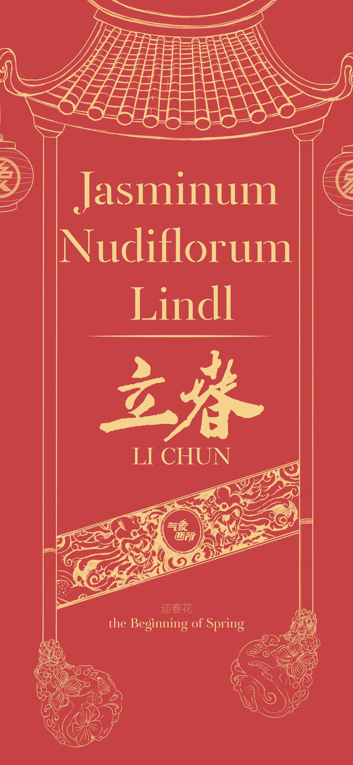 传统中国风立春插画朋友圈配图   气象西所Jasminum Nudiflrum Lindl_4