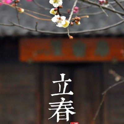 立春带梅花带字唯美朋友圈配图
