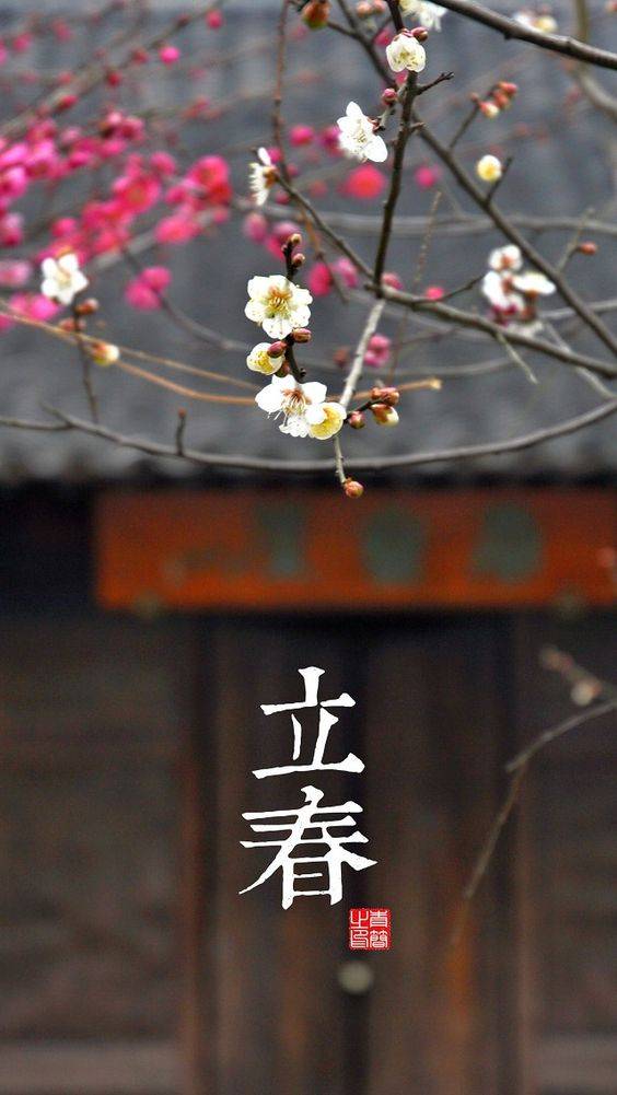 立春带梅花带字唯美朋友圈配图_1