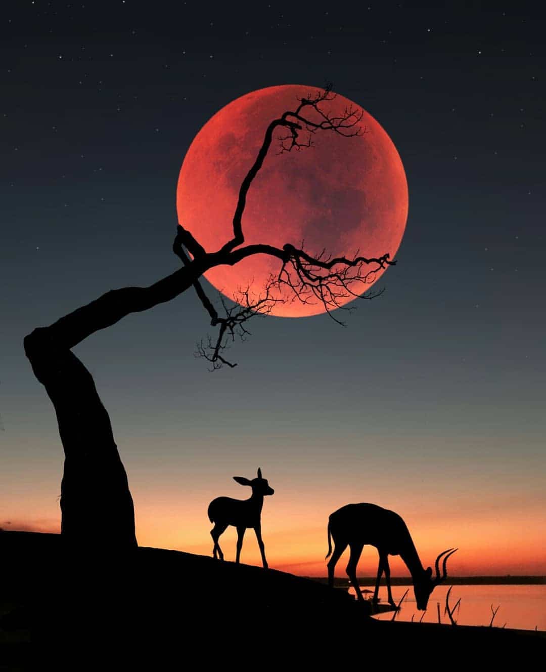 深夜感怀凄凉伤感的朋友圈配图集合 夜晚落日景色图片_1