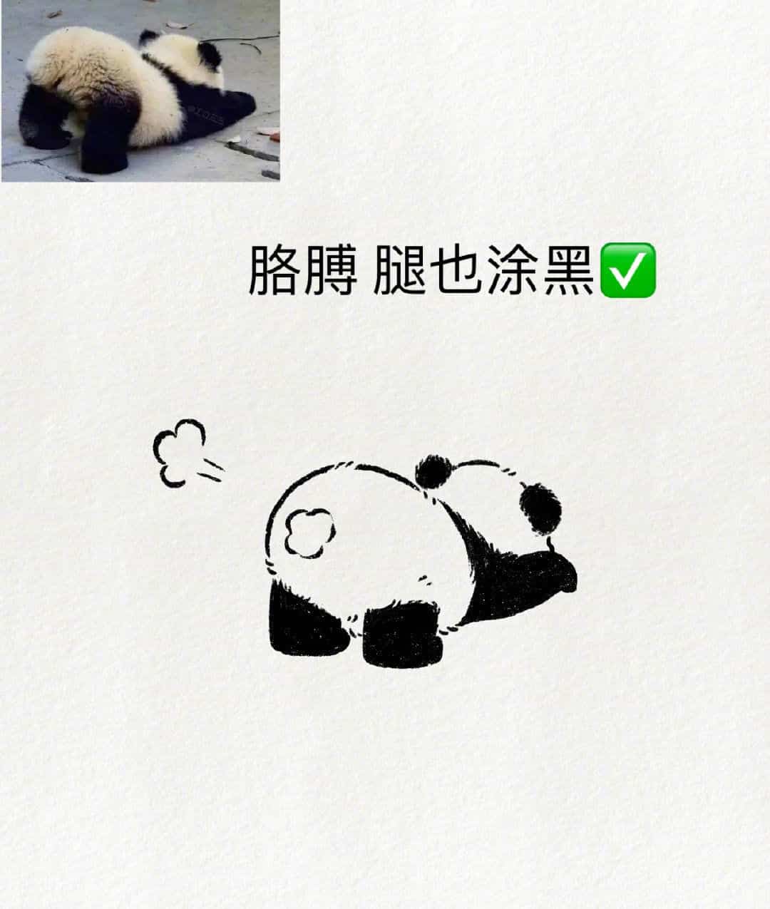 可爱动物大熊猫趴地撅屁股简笔画画法教程图片_9