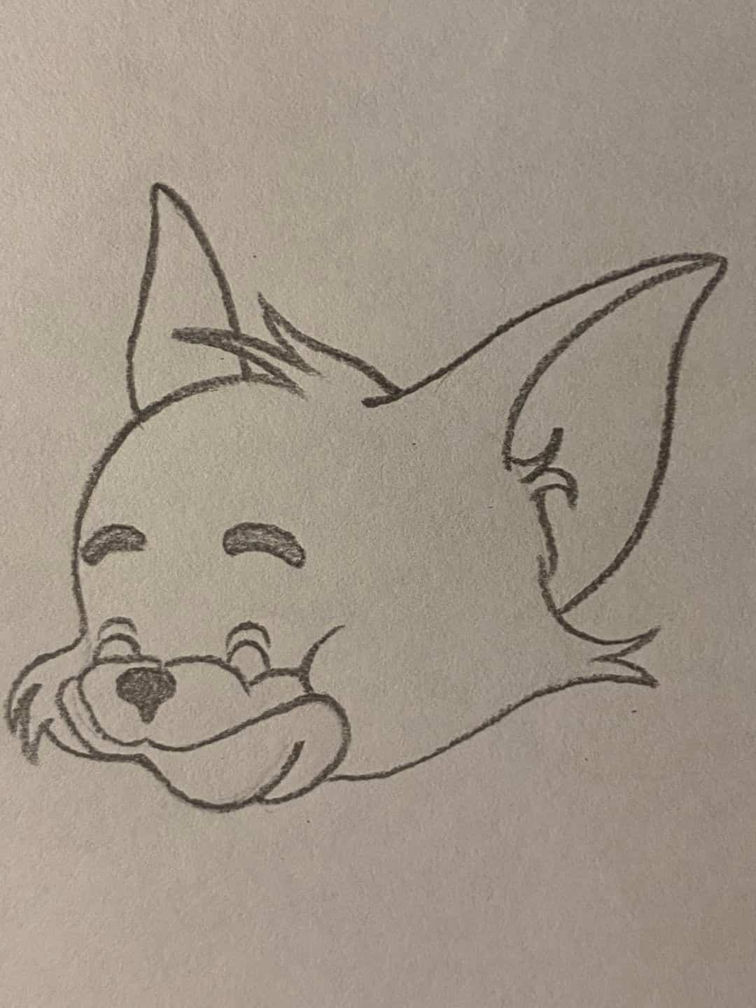 卡通汤姆猫铅笔黑白简笔画画法教程图片_4