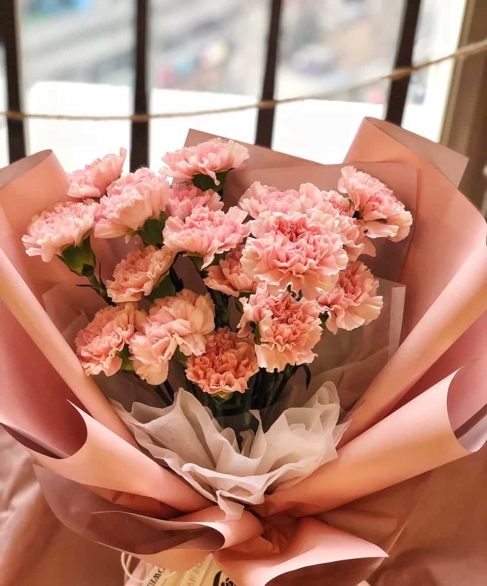 母亲节给妈妈送什么花？母亲节粉色康乃馨花束配图_1
