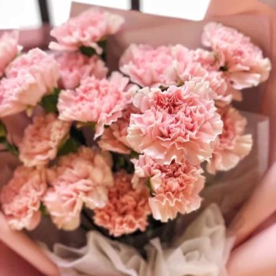 母亲节给妈妈送什么花？母亲节粉色康乃馨花束配图