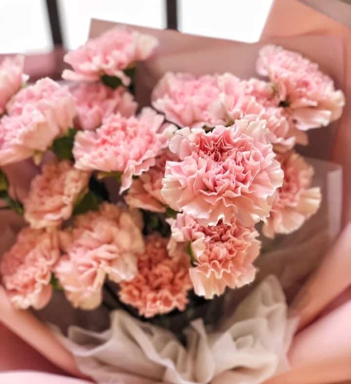 母亲节给妈妈送什么花？母亲节粉色康乃馨花束配图_2