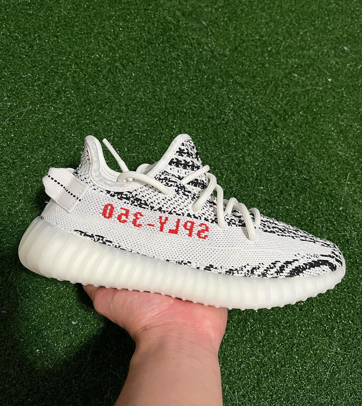 adidas yeezy boost 350 v2“zebra”白斑马正品实拍图 高清细节图_3