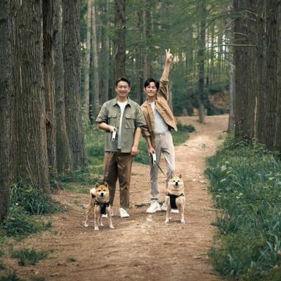 《向往的生活》海报何炅黄磊遛狗 好像两个假笑空巢老人