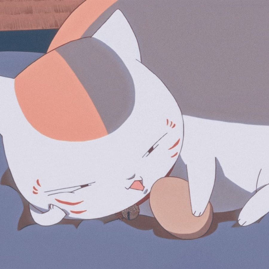 动漫《夏目友人帐》娘口三三猫咪老师头像 猫咪孵蛋头像_1