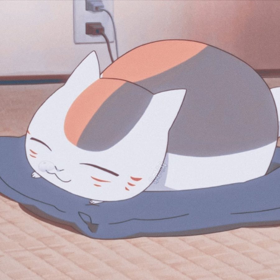 动漫《夏目友人帐》娘口三三猫咪老师头像 猫咪孵蛋头像_3