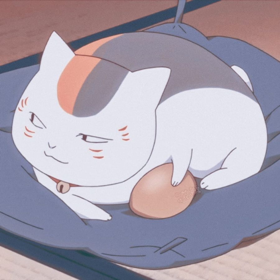 动漫《夏目友人帐》娘口三三猫咪老师头像 猫咪孵蛋头像_4