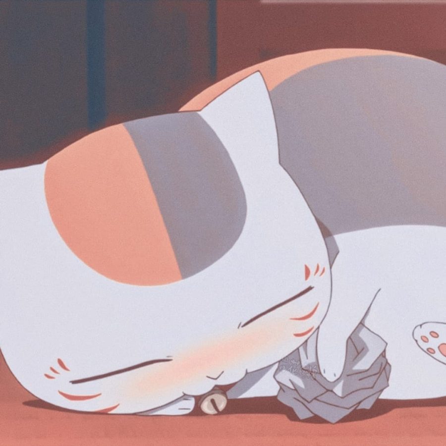 动漫《夏目友人帐》娘口三三猫咪老师头像 猫咪孵蛋头像_6