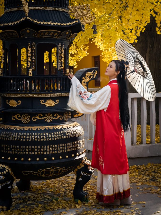 上海七百年历史的绝美古银杏 来自颐浩禅寺_2