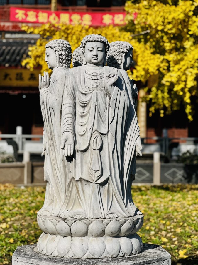 上海报国寺1800多年银杏树唯美图_3