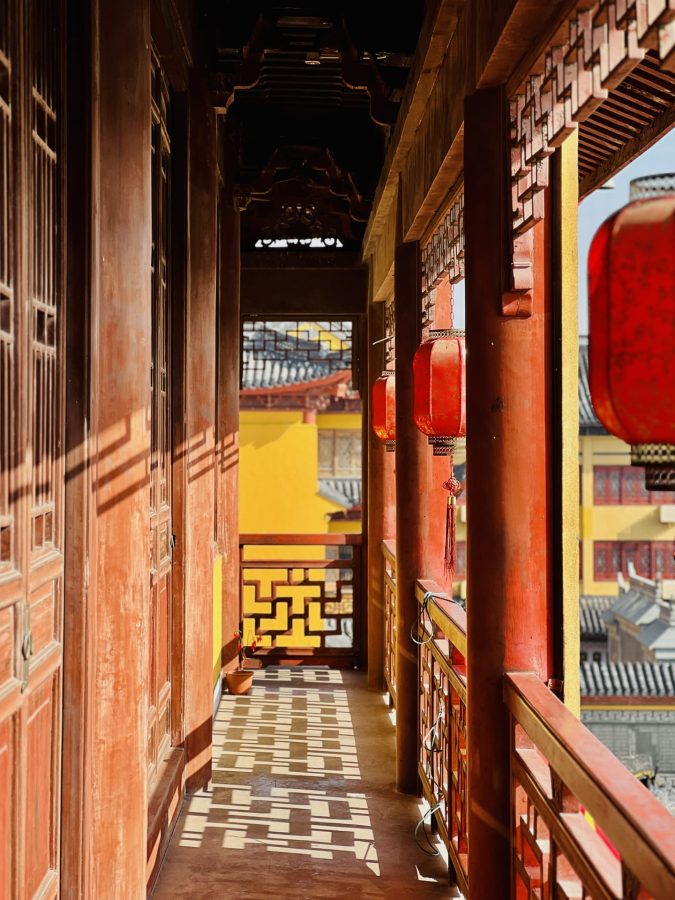 上海报国寺1800多年银杏树唯美图_6