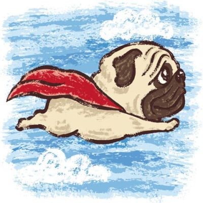 六一儿童节可爱小动物卡通插画头像 猫咪、超人狗、小象、熊猫、袋鼠、熊