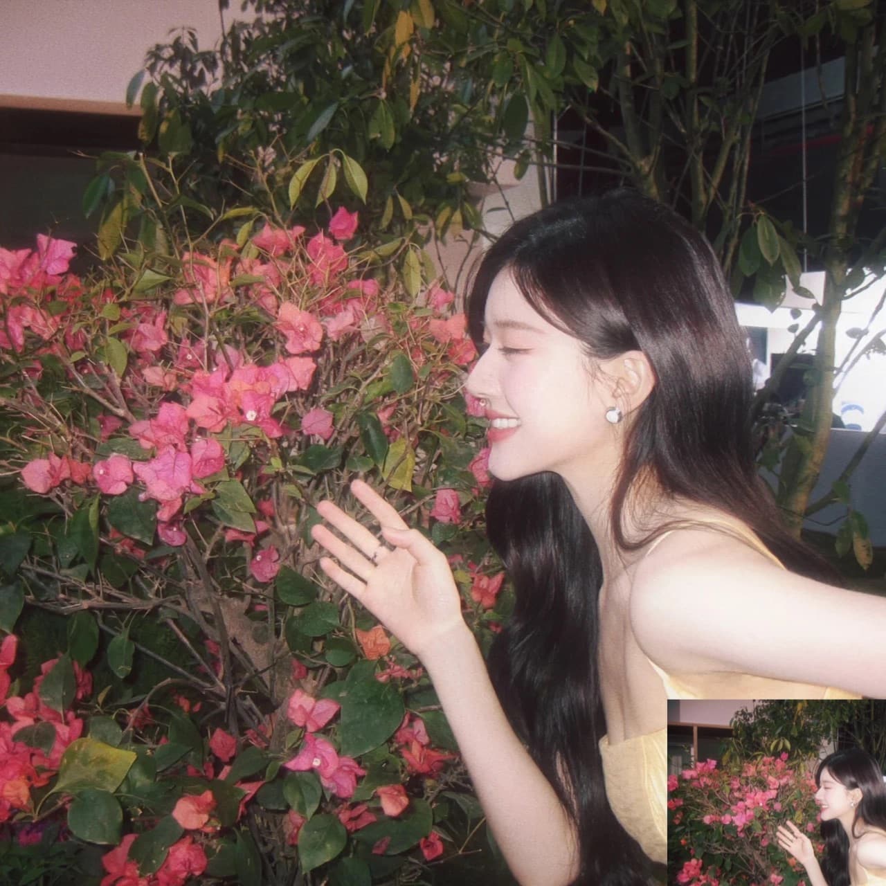 宝藏女孩赵露思仙女和鲜花头像_6