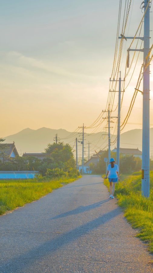 夏日乡间唯美图 夏天村庄清新意境美图_2