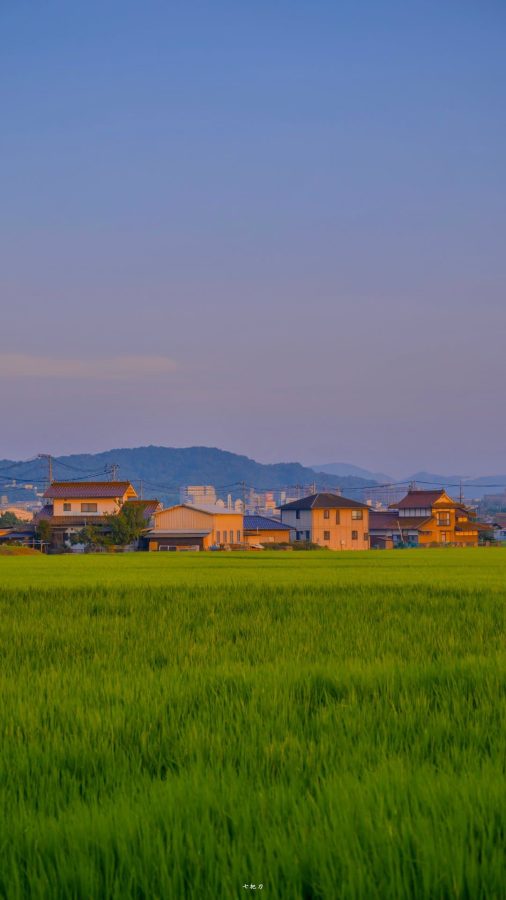 夏日乡间唯美图 夏天村庄清新意境美图_3