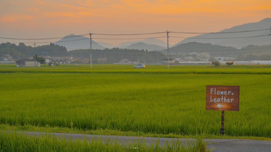 夏日乡间唯美图 夏天村庄清新意境美图_5