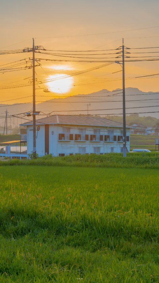 夏日乡间唯美图 夏天村庄清新意境美图_6