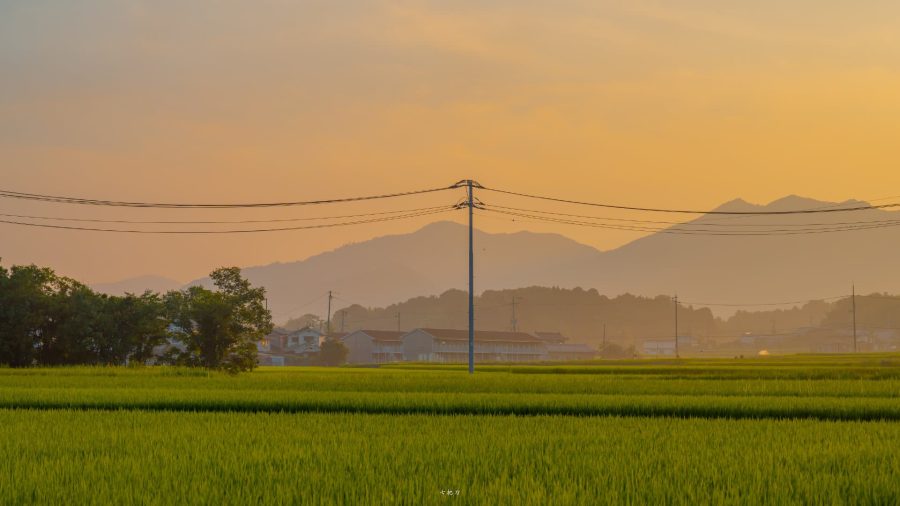 夏日乡间唯美图 夏天村庄清新意境美图_8