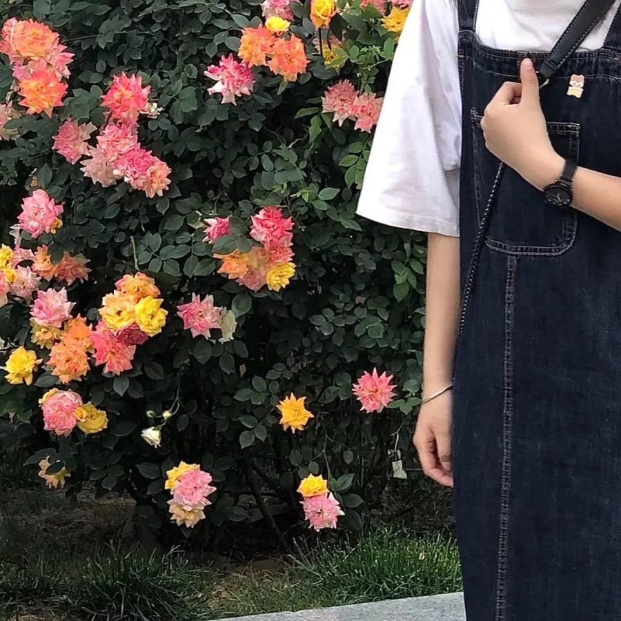 ins甜系仙女头像不露脸 高级感小众ins不露脸头像图_14