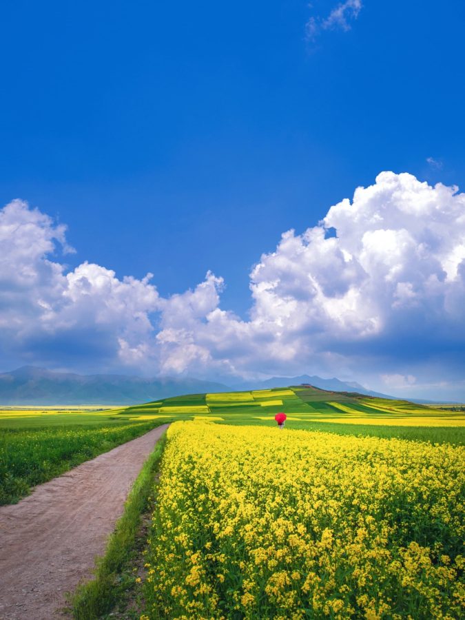 风景唯美图片意境图片 清新自然_7