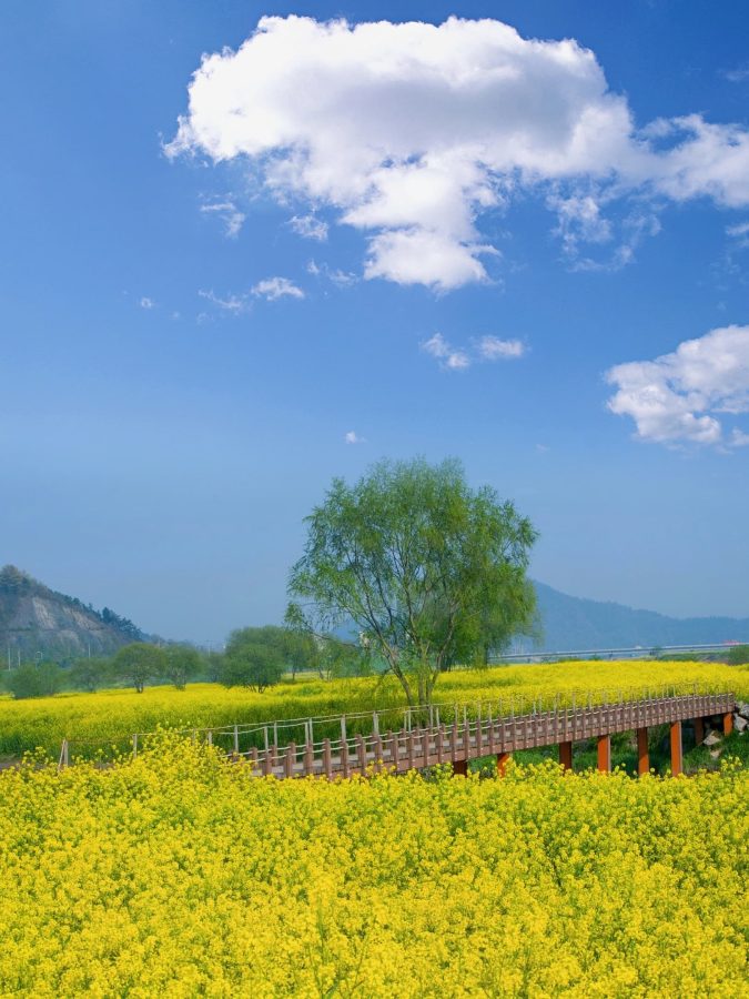 风景唯美图片意境图片 清新自然_8