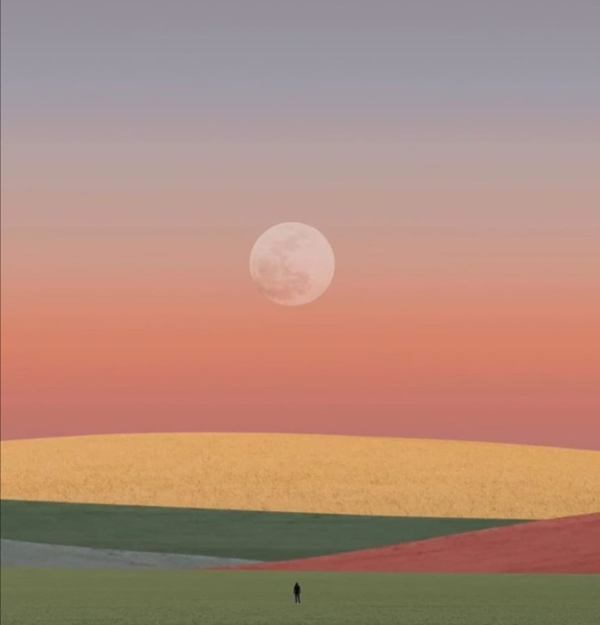 风景唯美图片意境图片 清新自然_11