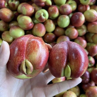 桃子也分公母，不信你看图 公桃子和母桃子的区别图片！