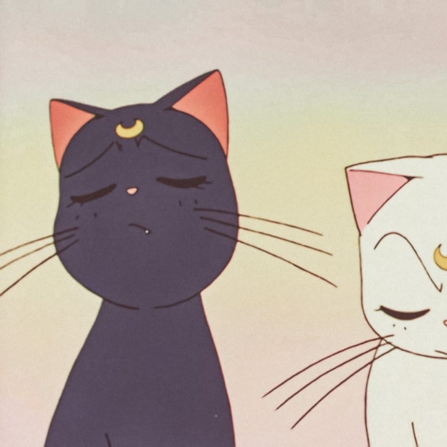 美少女战士露娜猫情侣头像图片 露娜 亚提密 情侣头像_3