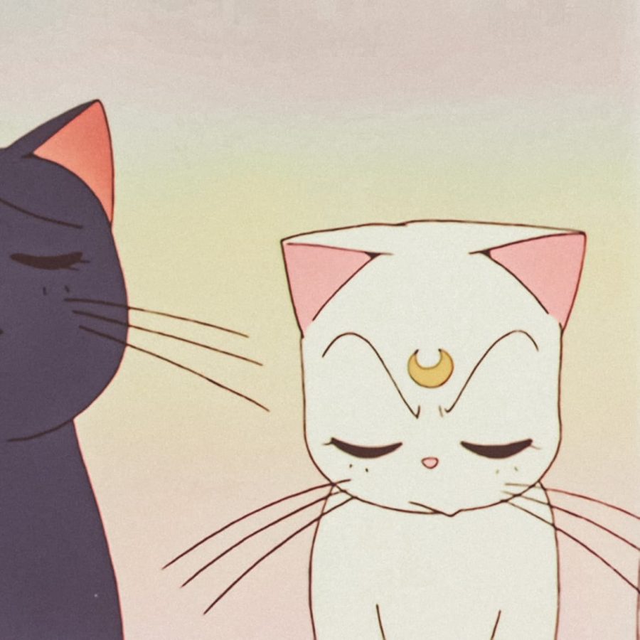美少女战士露娜猫情侣头像图片 露娜 亚提密 情侣头像_4