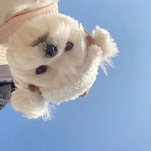一看就舒心的微信头像，有品位耐看一看就舒心的图片头像_14