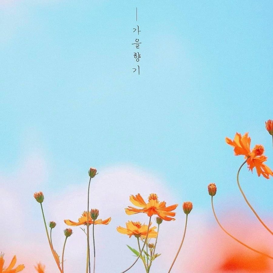 有格局大气的微信头像风景图片_3