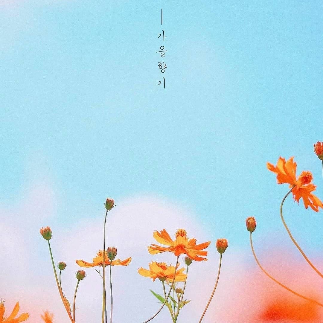 让人一看就很舒服的微信头像图片_26