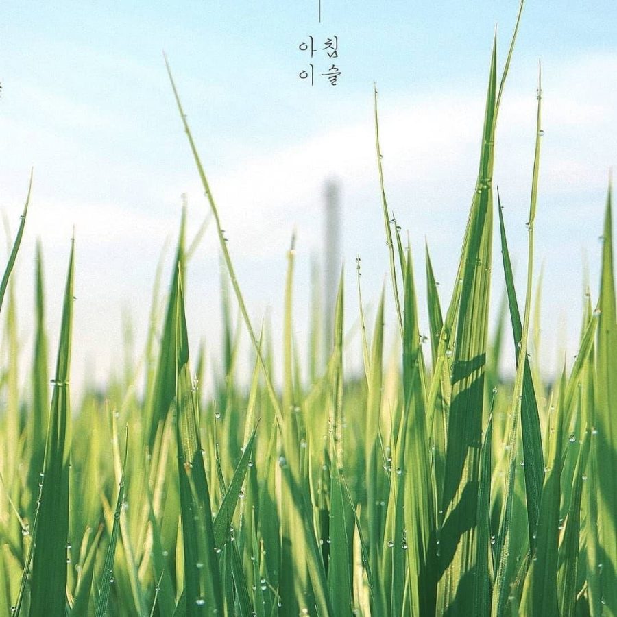 有格局大气的微信头像风景图片_2