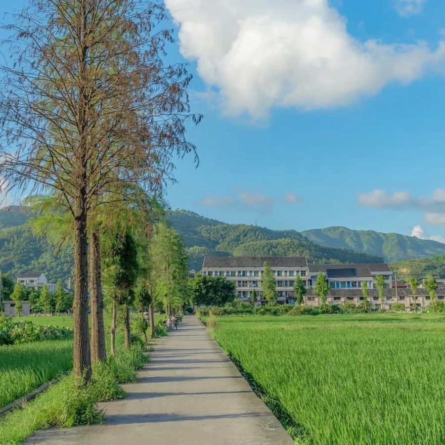 有格局大气的微信头像风景图片_13