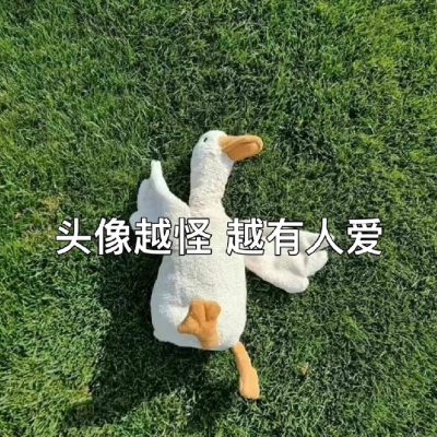 小众不易撞的可爱动物微信头像 头像越怪越有人爱