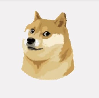 马斯克将推特图标换成柴犬图片原图