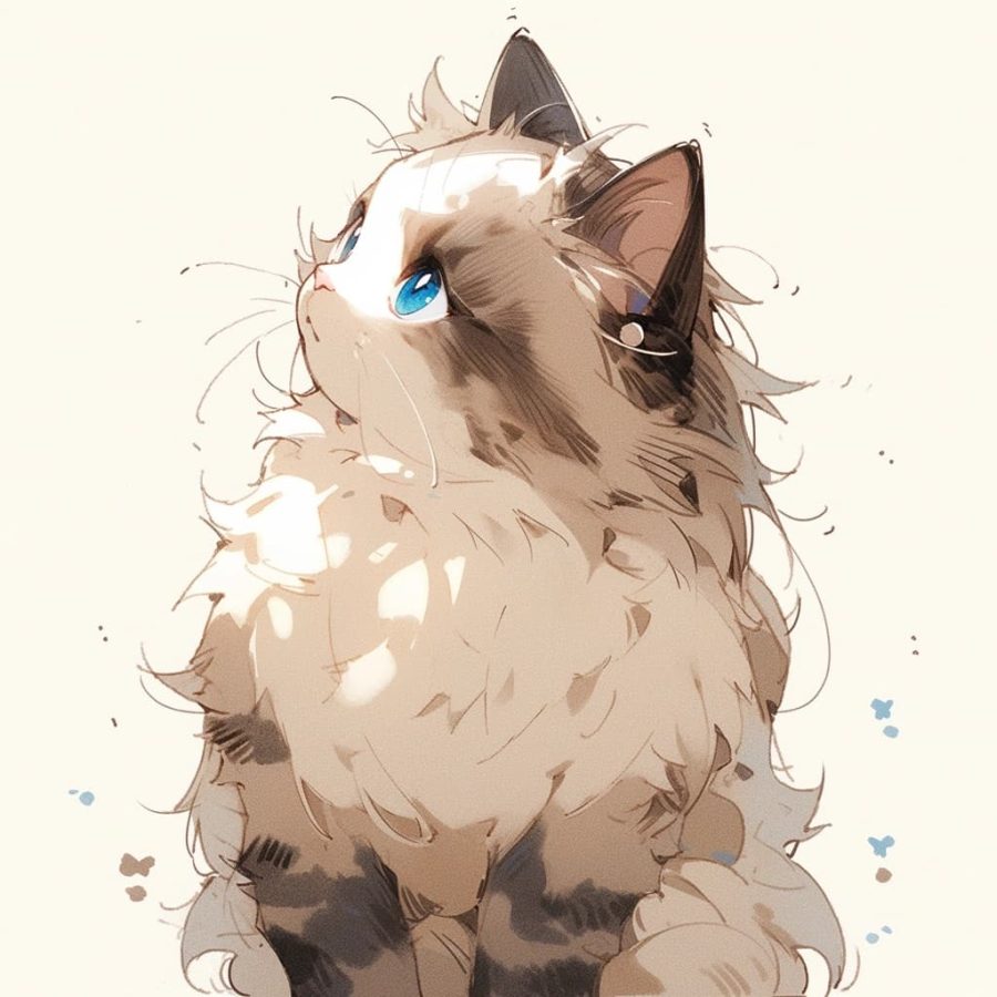 可爱布偶猫卡通头像，女孩子抱着布偶猫卡通头像_5