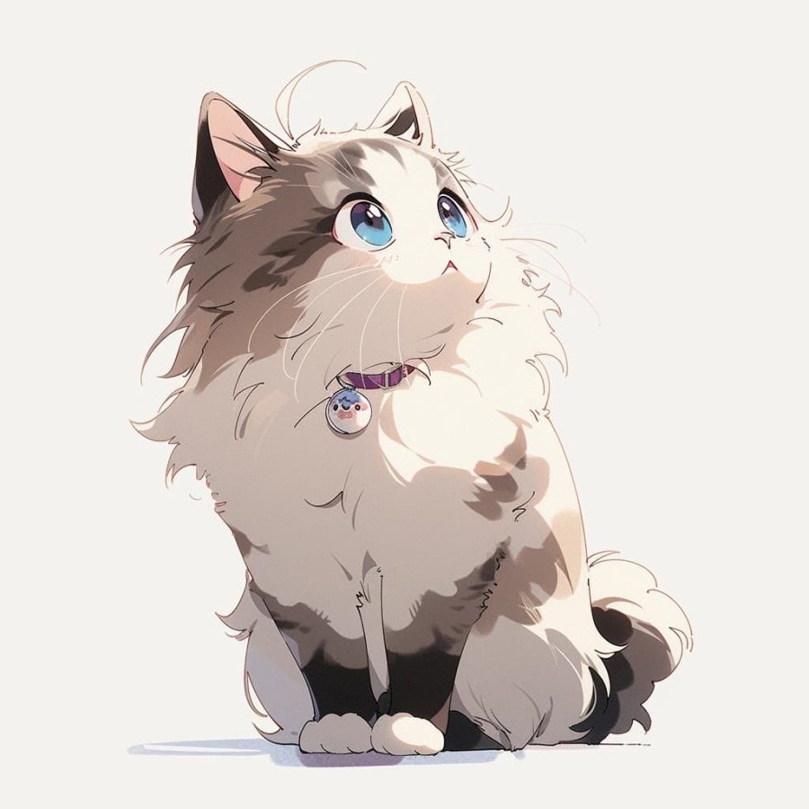 可爱布偶猫卡通头像，女孩子抱着布偶猫卡通头像_8