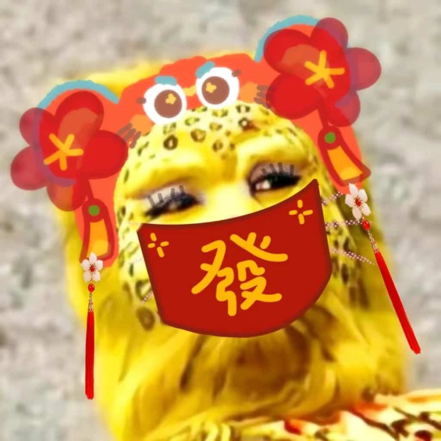 暴富暴瘦恶搞西游记金钱豹微信头像_2